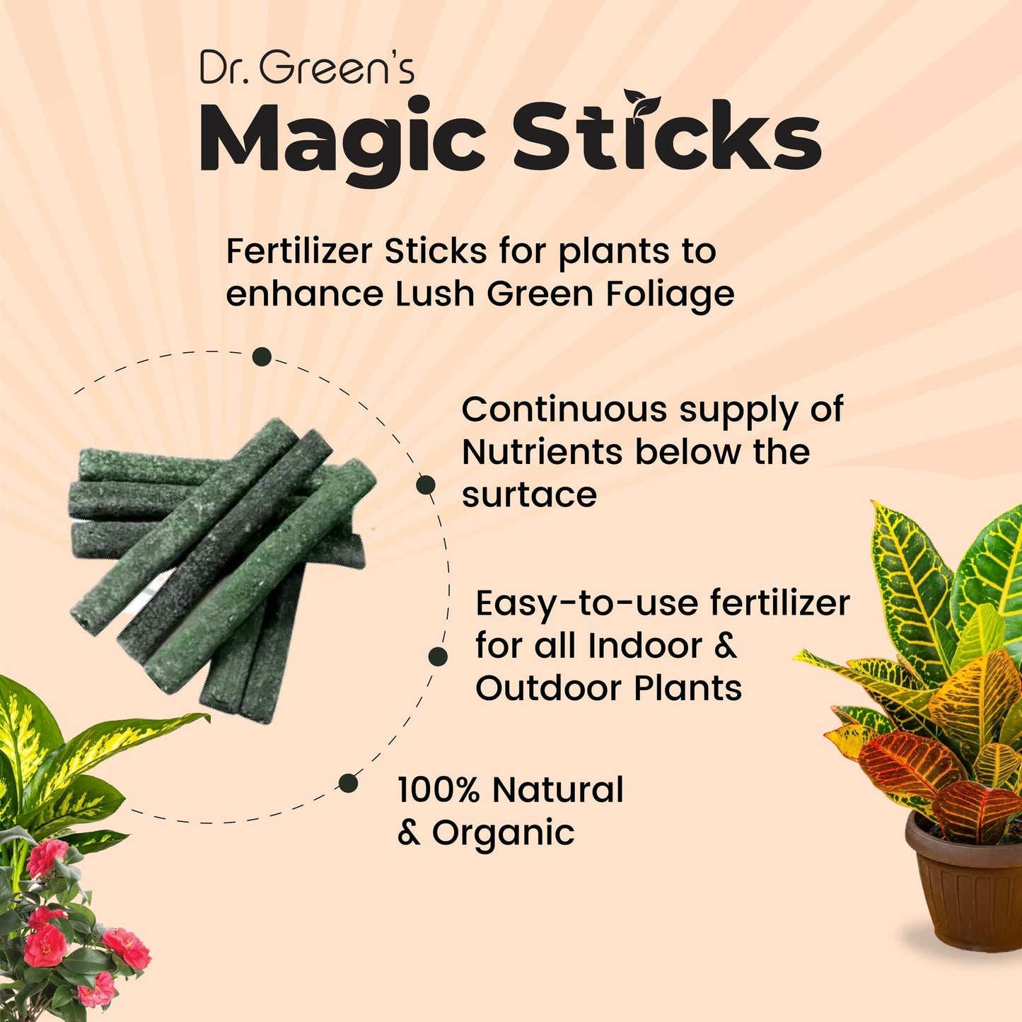 Plant Magic Sticks Pack of 5