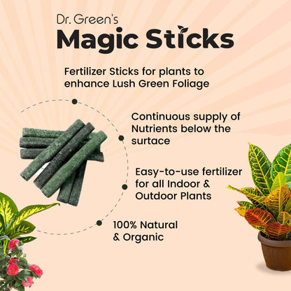 Plant Magic Sticks Pack of 5