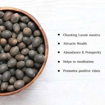Lotus Flower Seeds (40 SEEDS)