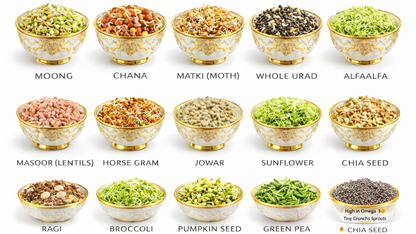 Sprout Maker Jar